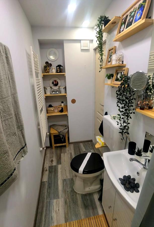 Night Lotus Apartment Hunedoara Exterior photo